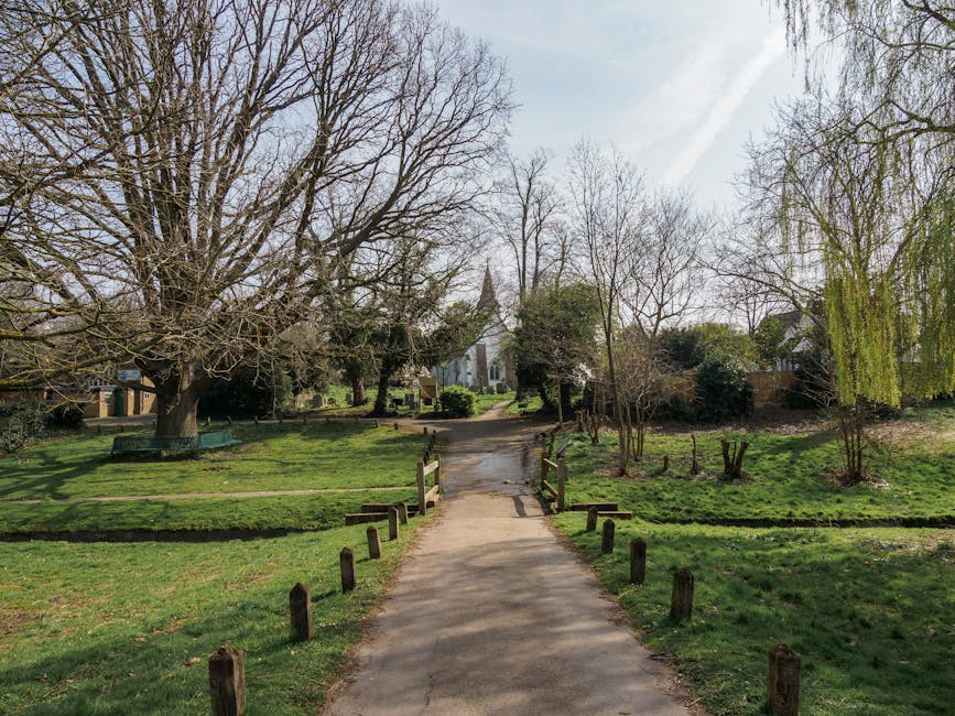 Merton Abbey Mills moving and removals guide for Colliers Wood
